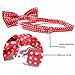 P&o Polyester Silk Bowtie Necktie Cravat for Men Fashionable