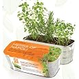 Herbs of Napoli Herb Kit