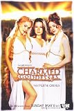 Charmed Poster TV 11x17 Shannen Doherty Holly Marie Combs Alyssa Milano Rose McGowan