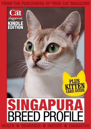 Singapura Breed Profile (Your Cat Magazine Breed Profiles)