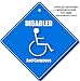 DISABLED AND GORGEOUS Car Window Sign, Baby on Board Style, Disabled Symbol, Disability Motoring Sign