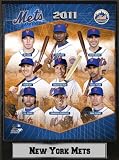 Encore Select 510-BBNYM2011 2011 New York Mets 9X12 Stat Plaque