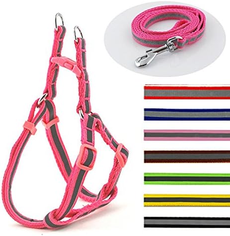 Night Safety Reflective Dog Puppy Pet Walking Leash & Harness Set Adjustable X-small Chest 12-18" Pink