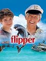Flipper