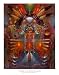 Kachina with Bird Spirit World Culture Art Poster Print by Tom Perkinson, 26x32