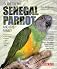 Guide to the Senegal Parrot and Its Family