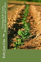 Growing Kale Leaves, Brussels Sprouts and Celery Growing Kale Leaves, Brussels Sprouts and Celery