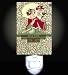 Asian Empress Decorative Night Light