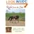 Right from the Start: Create a Sane, Soft, Well-Balanced Horse