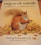 Large as Life Animals in Beautiful Life-Size Paintings