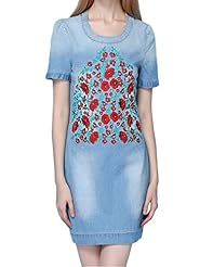 Denim Embroidered Round Neck  Dress