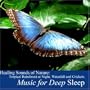 Healing Sounds of Nature: Tropical Rainforest At Night, Waterfall and Crickets