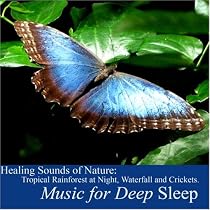 Healing Sounds of Nature: Tropical Rainforest At Night, Waterfall and Crickets [CD on Demand]
