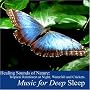 Healing Sounds of Nature: Tropical Rainforest At Night, Waterfall and Crickets [CD on Demand]