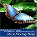 Healing Sounds of Nature: Tropical Rainforest At Night, Waterfall and Crickets [CD on Demand]