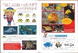 さかなクンと中村征夫の海のおさかな大百科〈1〉サンゴの海のかわいいさかな-