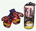 Marvel Spiderman Boxing Gloves & Punching Bag Toy Set