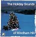 The Holiday Sounds of Windham Hill
