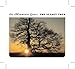 The Sunset Tree