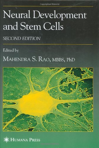 Neural Development and Stem Cells (Contemporary Neuroscience)