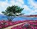 Monterey California Ocean Sea Cypress Tree Pink Flowers Spring Iverson Original Painting on Canvas