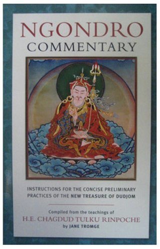 Ngondro Commentary: Instructions for the Concise Preliminary Practices of the New Treasure of Dudjom