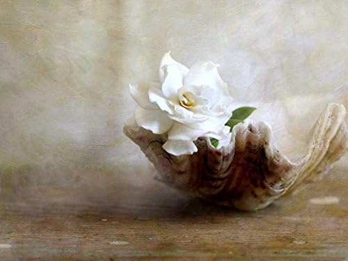 JonathanOutletStore - Gardenia - Art Print on Canvas (16x20 inches , unframed)