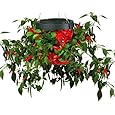 Felknor Ventures TT051112 Topsy Turvy Hot Pepper Planter (Discontinued by Manufacturer)