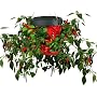 Felknor Ventures TT051112 Topsy Turvy Hot Pepper Planter
