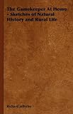 Cover for 9781443738996