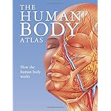 the human body atlas how the human body works