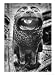 Gargoyle, Roslin or Rosslyn Chapel, Edinburgh, Scotland Architecture Giclee Poster Print by Simon Marsden, 12x16