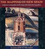 Painting a map of sixteenth-century Mexico City : land, writing and native rule