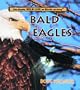 Bald Eagles (Really Wild Life of Birds of Prey)