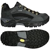 LOWA Kody GTX Low 2008 (310798 9350)