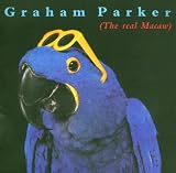 Buy : Real Macaw