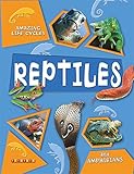 Reptiles and amphibians