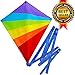 Large Kite (Sale Out: Last 100 Kites) Flying Kites Kit for Kids with String Handle - Fly Big Easy Diamond Rainbow High Flyer -Free Extra Gift (Ebook) - Beach Summer Runner Toy for Children Travel Size