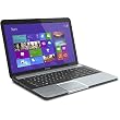 Toshiba Satellite S875-S7356 17.3-Inch Laptop (Ice Blue Brushed Aluminum)