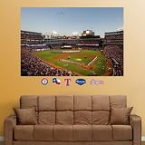 MLB Texas Rangers Rangers Ballpark in Arlington Flyover Mural Wall Graphic