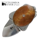 Columbia River Knife & Tool 5910G Ashworth Turtle, Polished Frame, Golden Brown Scales