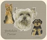 David Kiphuth Dog Breeds Yorkie Yorkshire Terrier Mousepad Mouse Pad