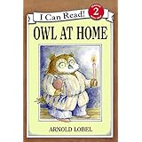 owl at home i can read level 2