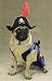 Zack & Zoey Pirate Pup Costume Med