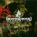 Burning Skies-Desolation