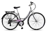  : Viking Vantage 19" Ladies Alloy Trekking Bike