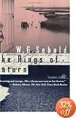The Rings of Saturn