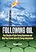 Following Oil: Four Decades of Cycle-Testing Experiences and What They Foretell about U.S. Energy Independence