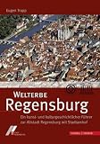 Welterbe Regensburg: Ein kunst- und kulturgeschichtlicher Führer zur Altstadt Regensburg mit Stadtamhof