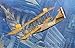 Roden Curtiss H-16 Early US Navy Twin-Engine Biplane Flying Boat Airplane Model Kit